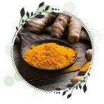 Haldi (Curcuma Longa)