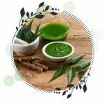 Neem Extract (Azadirachta Indica)