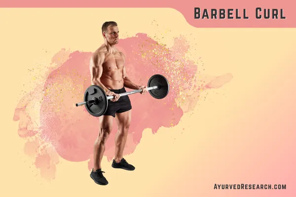 Barbell Curl