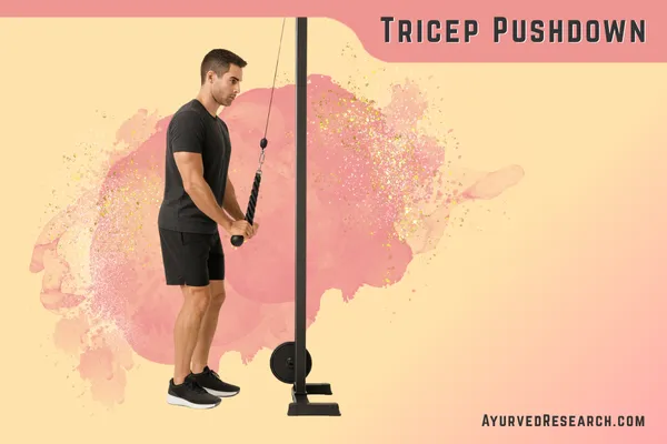 Tricep Pushdown