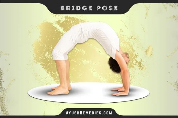 Bridge Pose, Setu Bandhasana, सेतु बंधासन