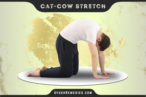 Cat-Cow Stretch, Marjaryasana–Bitilasana, मार्जर्यासन–बितिलासन