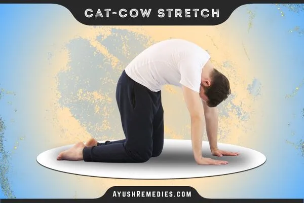 Cat-Cow Stretch, Marjaryasana–Bitilasana, मार्जर्यासन–बितिलासन