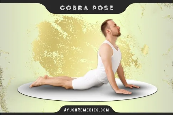 Cobra Pose, Bhujangasana, भुजंगासन