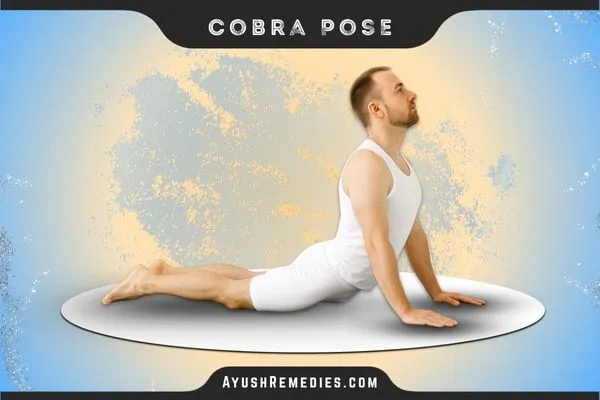 Cobra Pose, Bhujangasana, भुजंगासन