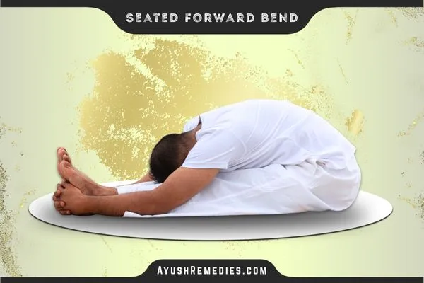 Seated Forward Bend, Paschimottanasana, पश्चिमोत्तानासन